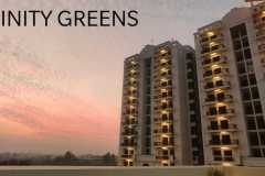 Affinity-Greens-7